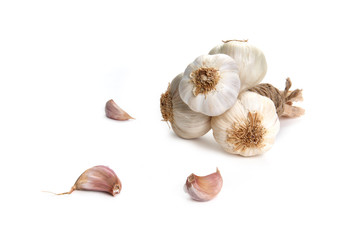 Garlic Isolated against a white background.