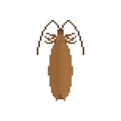 Cockroach Pixel art. Insect 8 bit. Beetle digital. Bug Vector illustration