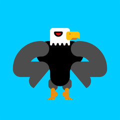 Strong bald eagle isolated. Great powerful bird. Vector illustration.