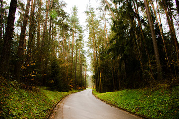 Obraz premium nature