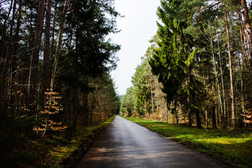 nature