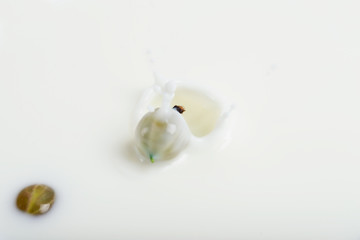 The berry falling into the milk.