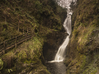 Obraz premium waterfall in the forest
