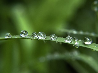 Macro Gotas rocío