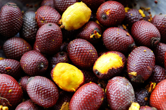 Close up of fresh "buriti" fruit inside metal bown in Amazon rainforest.