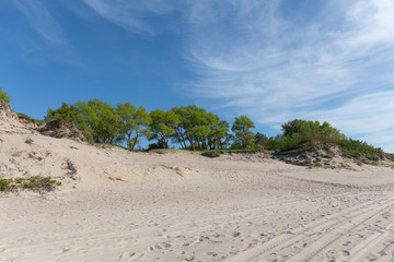 Wide sandy beach of the Baltic sea.