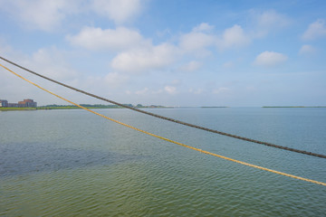 The shore of a lake in sunlight in spring
