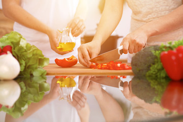 Closeup of human hands cooking in kitchen. Mother and daughter or two female friends cutting vegetables for fresh salad. Healthy meal, vegetarian food and lifestyle concepts