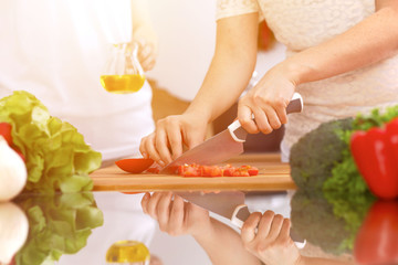 Closeup of human hands cooking in kitchen. Mother and daughter or two female friends cutting vegetables for fresh salad. Healthy meal, vegetarian food and lifestyle concepts