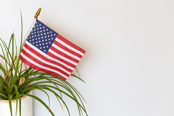 US flag in wall planter on white background.