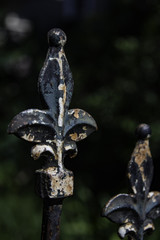 Fluer de lis fence © Renee