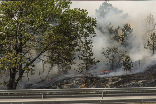 Dramatisk skogsbrand rasar vid V&auml;rmd&ouml;leden i Nacka fredag 15/6 och bilarna k&ouml;r genom r&ouml;ken n&auml;ra elden