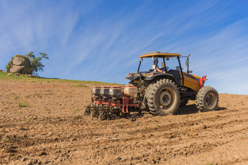 Obraz premium planting corn on a small farm