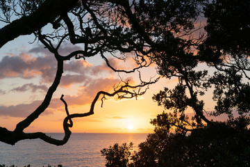 Fototapeta na wymiar Pacific sunrise from Mount Maunganui.