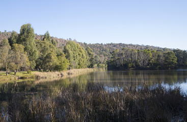 Landscape of Lake Tacoma, Australia