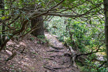 hiking