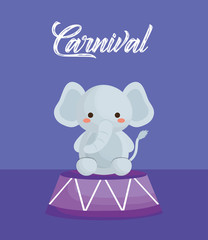 Carnival circus design with cute elephant over purple background, colorful design. vector illustration