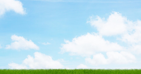 Fototapeta na wymiar light blue sky 3d rendering background