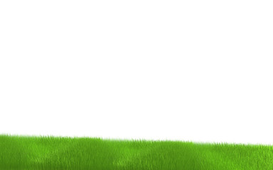 green grass 3d rendering
