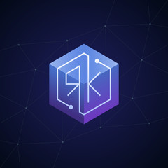 Initial letter RK, block chain, looping mono line circuit letter on hexagon cube logo, blue magenta gradient color on black blue network background