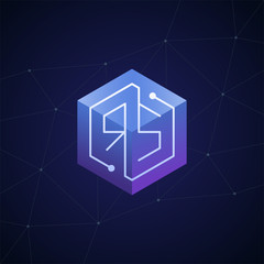 Initial letter RS, block chain, looping mono line circuit letter on hexagon cube logo, blue magenta gradient color on black blue network background