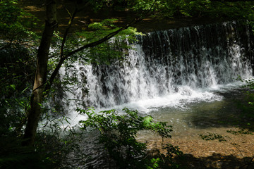 新緑の貴船川（京都・日本）
