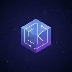 Initial letter SK, block chain, looping mono line circuit letter on hexagon cube logo, blue magenta gradient color on black blue network background