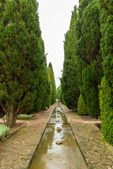 Fototapeta na wymiar Botanical garden at Balchik Palace in Bulgaria