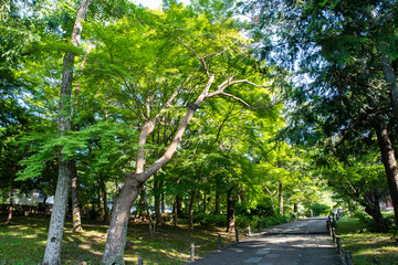 新緑の南禅寺（京都・日本）