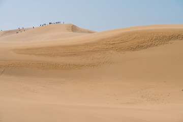 Fototapeta na wymiar Sand dunes on desert on sunny day