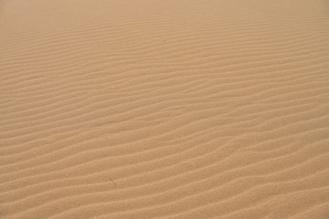 Close up sand desert texture pattern
