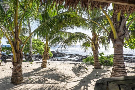 View from a tropical bar onto sandy and rocky beach with palm trees on Upolu Island, Samoa, South Pacific