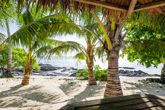 View from a tropical bar onto sandy and rocky beach with palm trees at Lefaga, Upolu Island, Samoa, South Pacific