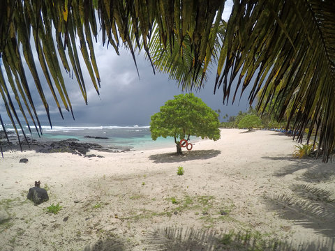 Looking through palm fronds at beach in Lefaga, Matautu, with stormy gray sky on Upolu Island, Samoa, South Pacific