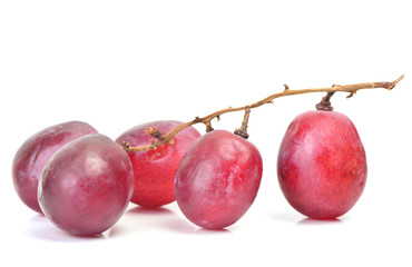 Grape fruit