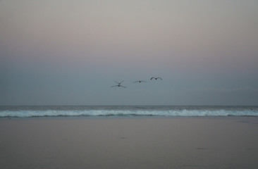 Flight Over Pink Sand
