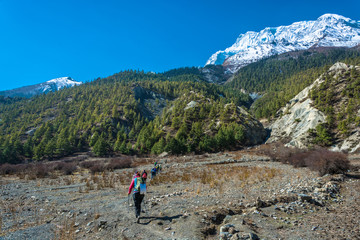 Naklejka premium Group of tourists on a mountain path to the cave Milarepa, Nepal.