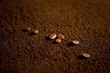 Coffee beans on coffee powder