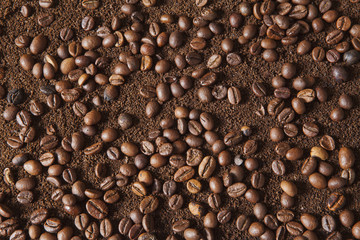 Coffee beans on coffee powder