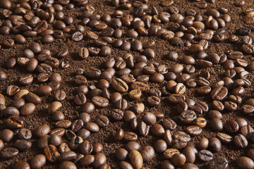 Coffee beans on coffee powder