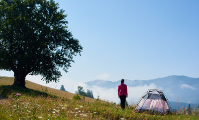 Back view of young slim tourist girl stands on blooming hill at small tourist tent enjoying beautiful panorama of mountains covered with white clouds under clear blue sky on bright summer morning.