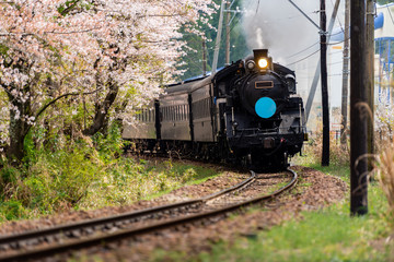 Steam locomotive train