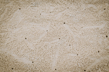 Sand  beach texture  nature wallpaper  background