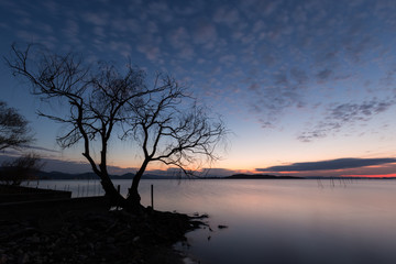Fototapeta na wymiar Beautiful view of a lake at dusk, with a tree in the foreground,