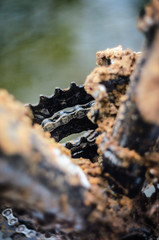 Mountain Bike Transmission in Mud. Dirty Chain Drive of Mountain Bike After Riding in Bad Weather