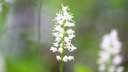 Photos taken while in the great outdoors 