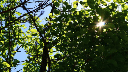 Photos taken while in the great outdoors 