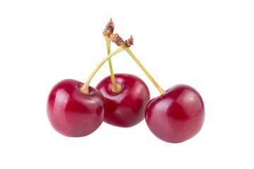 Three cherry ripe red berries isolated on white background