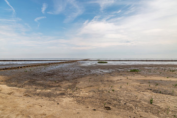 Timber Piles at Sylt Wadden Sea to protect the Waterside / Germany