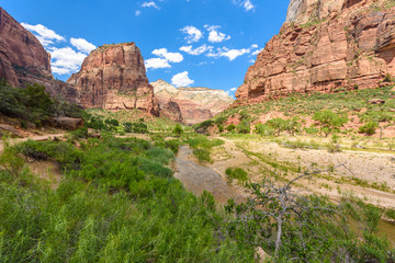 Fototapeta premium River in the Canyon of the Zion National Park - Travel destination for Outdoor in Utah, USA